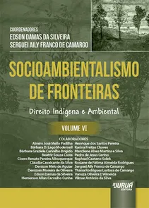 Socioambientalismo de Fronteiras - Volume VI - Direito Indígena e Ambiental