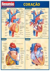 Resumão Medicina - 9 - Coração