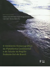 O Ambiente Oceanográfico da Plataforma Continental e do Talude Na Região Sudeste-Sul do Brasil
