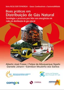 Boas Praticas Em Distribuicao De Gas Natural