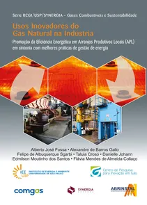 Usos Inovadores Do Gas Natural Na Industria