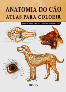 Anatomia do Cão Atlas para Colorir