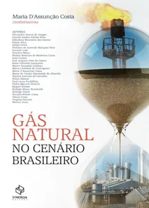 Gas Natural No Cenario Brasileiro